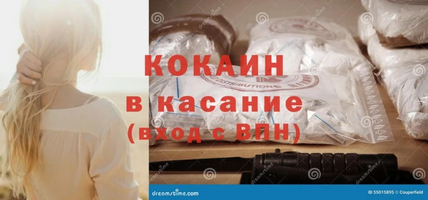шишки Заволжск