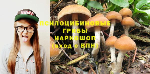 соль курить ск Заводоуковск