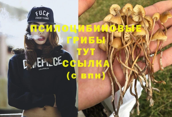 а пвп мука Заволжье