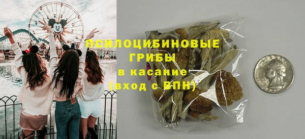 шишки Заволжск