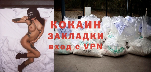 соль курить ск Заводоуковск