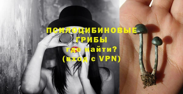 шишки Заволжск