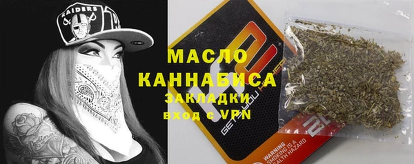 шишки Заволжск