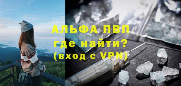 шишки Заволжск