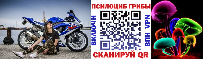 Псилоцибиновые грибы прущие грибы Калачинск
