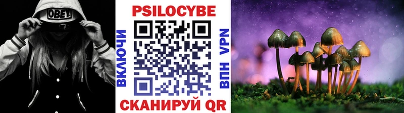 Псилоцибиновые грибы Cubensis  Калачинск 